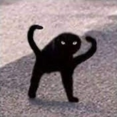 A full-body, low resolution, photo of a scraggly black cat in a monkey-like pose.